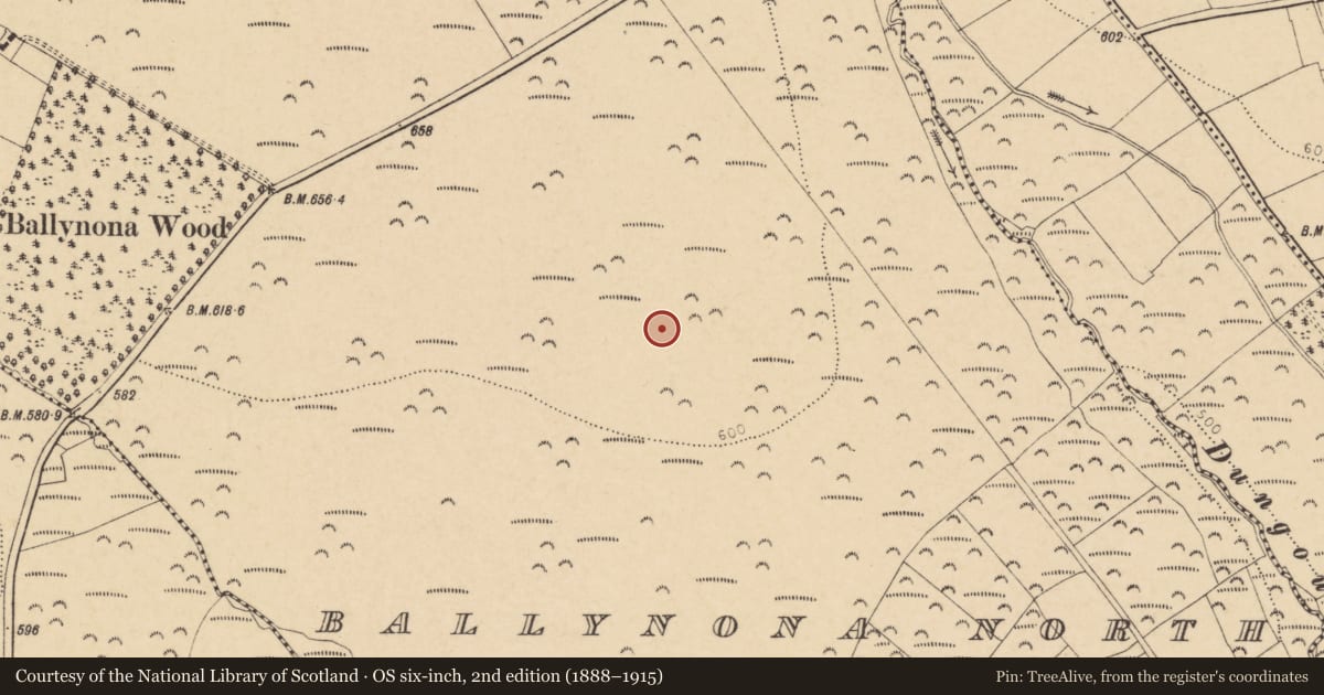 Ordnance Survey six-inch map, 2nd edition (1888–1915) covering the location of Burial ground, Ballynona North, County Cork, with a pin at the register's coordinates