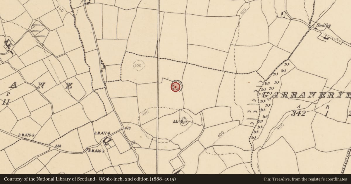 Ordnance Survey six-inch map, 2nd edition (1888–1915) covering the location of Ringfort - rath, Garryduff, County Cork, with a pin at the register's coordinates