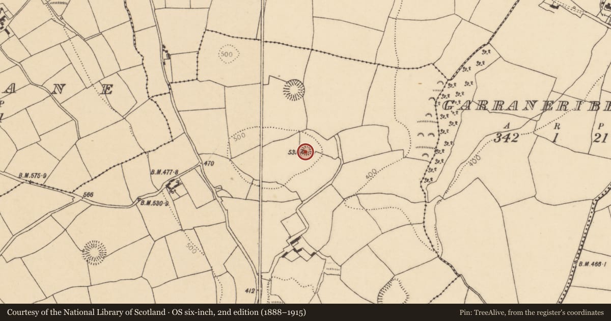 Ordnance Survey six-inch map, 2nd edition (1888–1915) covering the location of Ringfort - rath, Garryduff, County Cork, with a pin at the register's coordinates