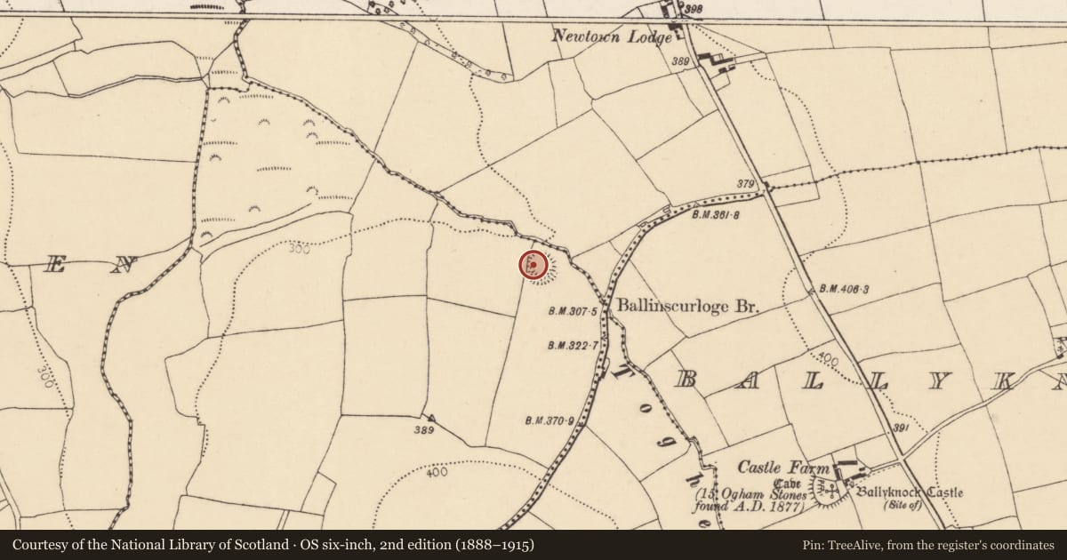 Ordnance Survey six-inch map, 2nd edition (1888–1915) covering the location of Ringfort - rath, Garraneribbeen, County Cork, with a pin at the register's coordinates