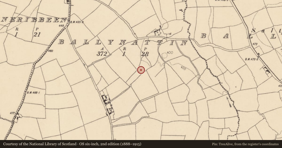 Ordnance Survey six-inch map, 2nd edition (1888–1915) covering the location of Fulacht fia, Ballynattin, County Cork, with a pin at the register's coordinates