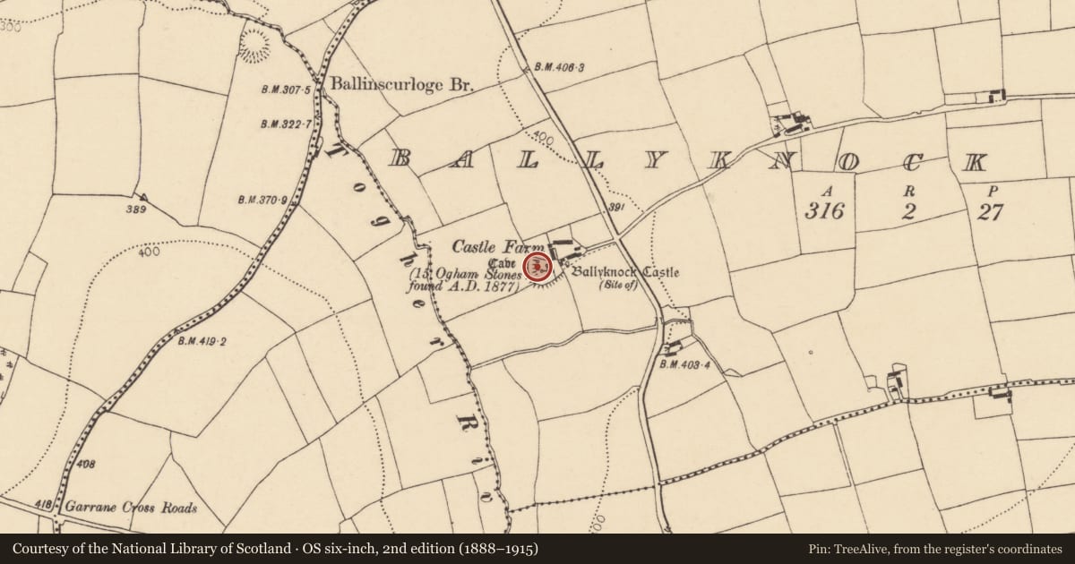 Ordnance Survey six-inch map, 2nd edition (1888–1915) covering the location of Ringfort - rath, Ballyknock North, County Cork, with a pin at the register's coordinates