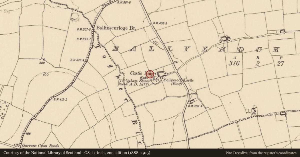 Ordnance Survey six-inch map, 2nd edition (1888–1915) covering the location of Ogham stone, Ballyknock North, County Cork, with a pin at the register's coordinates
