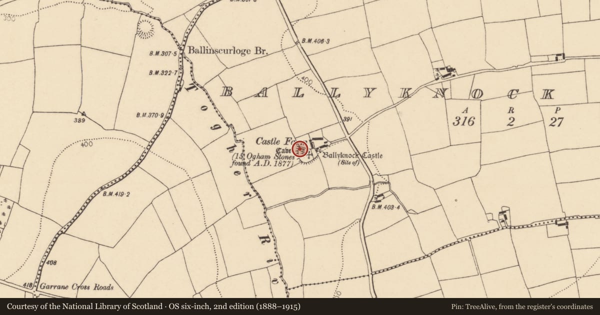 Ordnance Survey six-inch map, 2nd edition (1888–1915) covering the location of Souterrain, Ballyknock North, County Cork, with a pin at the register's coordinates
