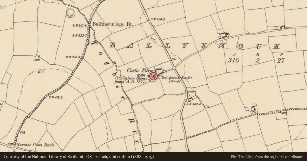 Ordnance Survey six-inch map, 2nd edition (1888–1915) covering the location of Castle - unclassified, Ballyknock North, County Cork, with a pin at the register's coordinates