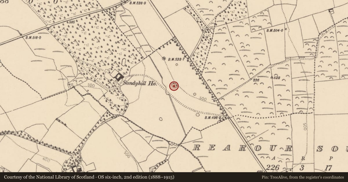 Ordnance Survey six-inch map, 2nd edition (1888–1915) covering the location of Designed landscape - tree-ring, Sandyhill, County Cork, with a pin at the register's coordinates