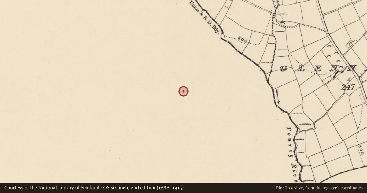 Ordnance Survey six-inch map, 2nd edition (1888–1915) covering the location of Enclosure, Lyre Mountain, County Cork, with a pin at the register's coordinates