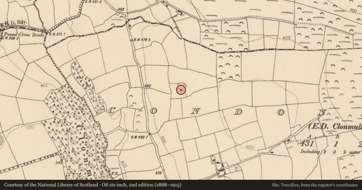 Ordnance Survey six-inch map, 2nd edition (1888–1915) covering the location of Ringfort - rath, Condonstown (Barrymore By., Clonmult Par.), County Cork, with a pin at the register's coordinates