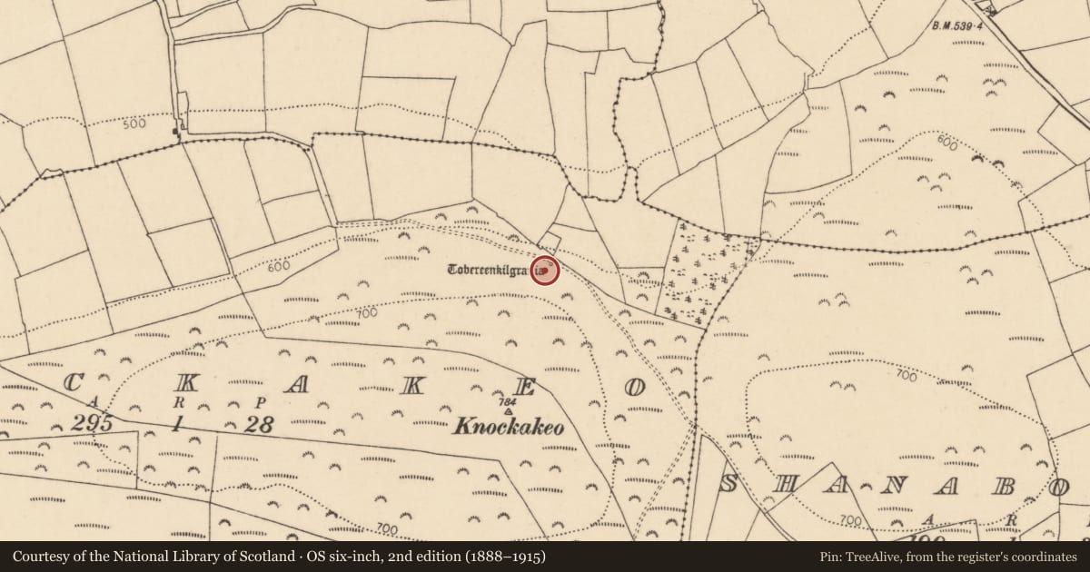 Ordnance Survey six-inch map, 2nd edition (1888–1915) covering the location of Ritual site - holy well, Knockakeo, County Cork, with a pin at the register's coordinates