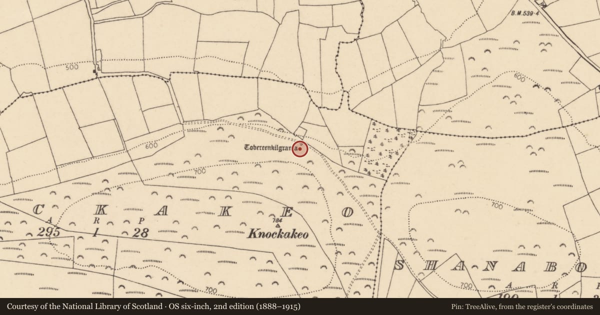 Ordnance Survey six-inch map, 2nd edition (1888–1915) covering the location of Bullaun stone, Knockakeo, County Cork, with a pin at the register's coordinates
