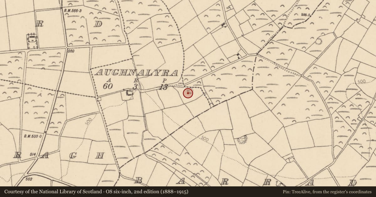 Ordnance Survey six-inch map, 2nd edition (1888–1915) covering the location of Ringfort - rath, Aughnalyra, County Cork, with a pin at the register's coordinates