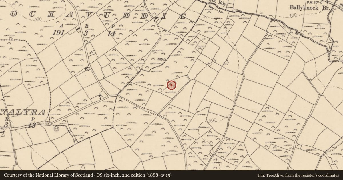 Ordnance Survey six-inch map, 2nd edition (1888–1915) covering the location of Ringfort - rath, Barradaw, County Cork, with a pin at the register's coordinates
