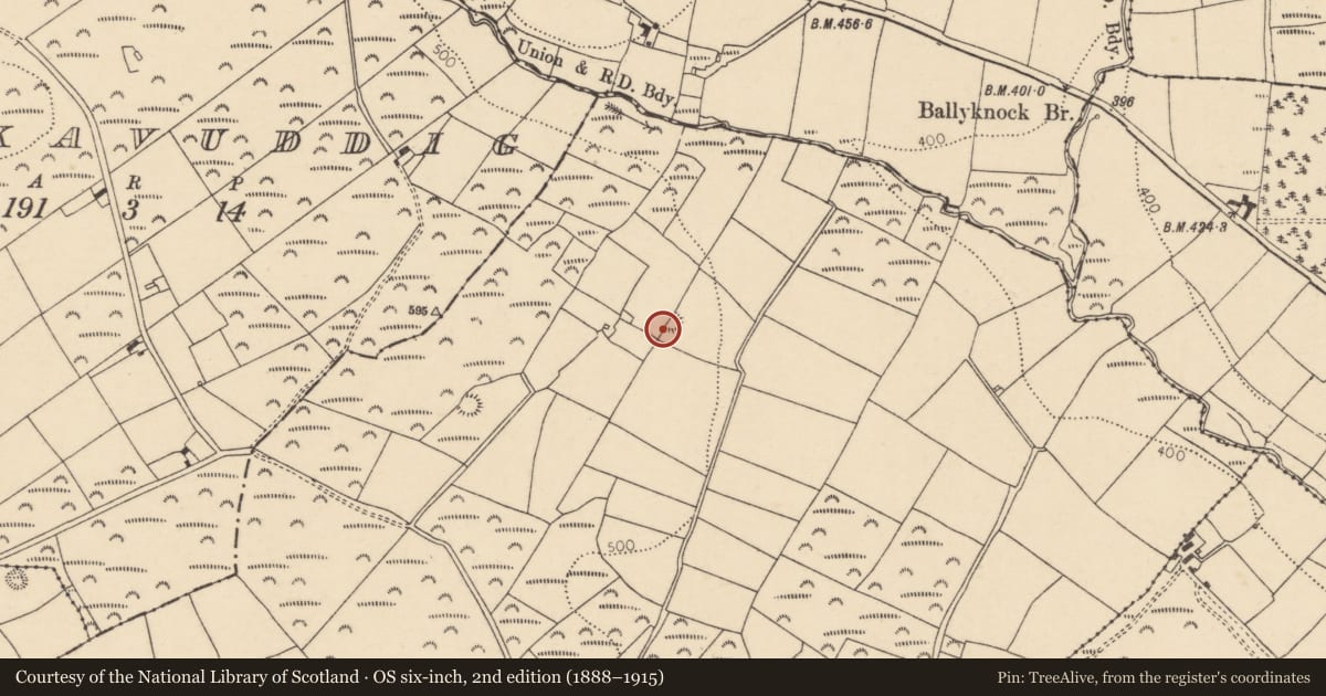 Ordnance Survey six-inch map, 2nd edition (1888–1915) covering the location of Enclosure, Barradaw, County Cork, with a pin at the register's coordinates