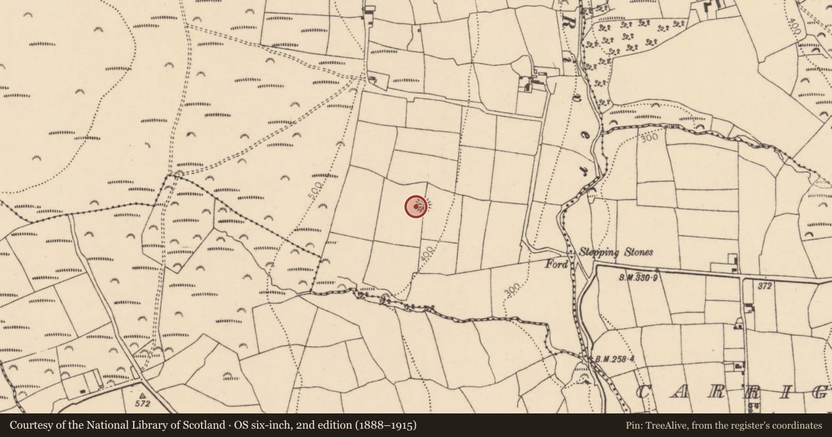 Ordnance Survey six-inch map, 2nd edition (1888–1915) covering the location of Ringfort - rath, Ballycolman, County Cork, with a pin at the register's coordinates