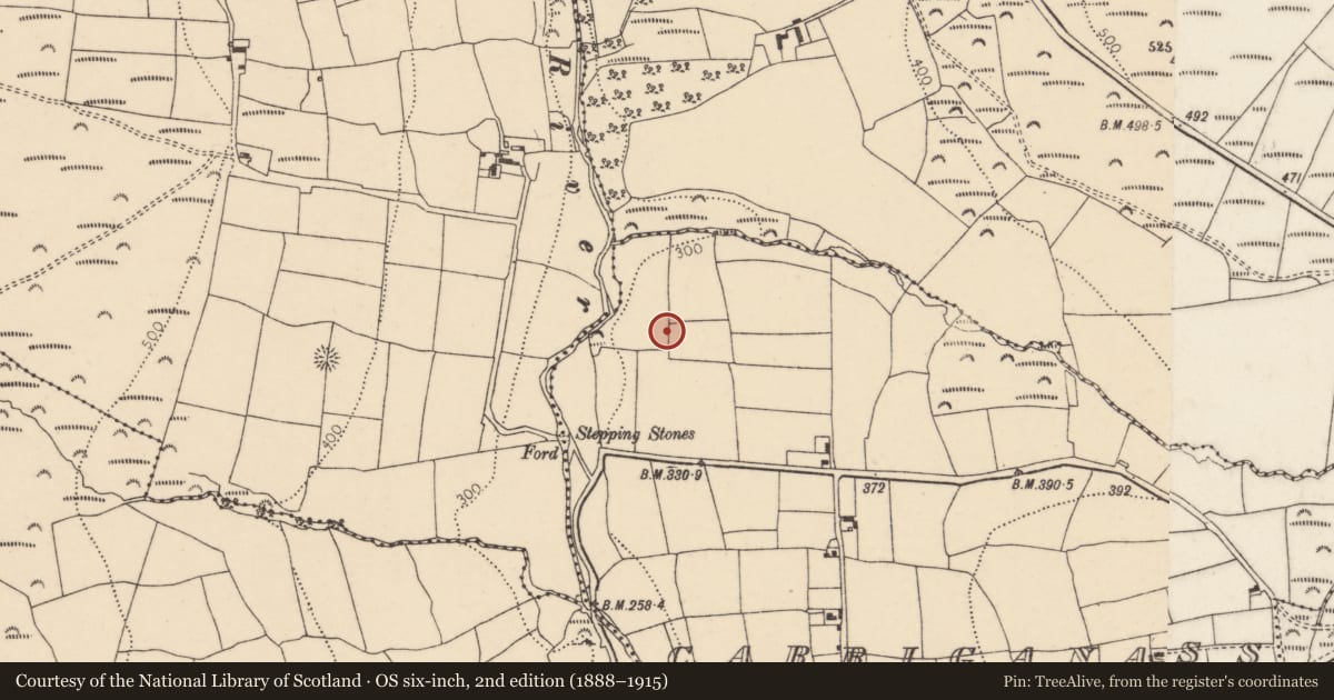 Ordnance Survey six-inch map, 2nd edition (1888–1915) covering the location of Enclosure, Carriganass, County Cork, with a pin at the register's coordinates