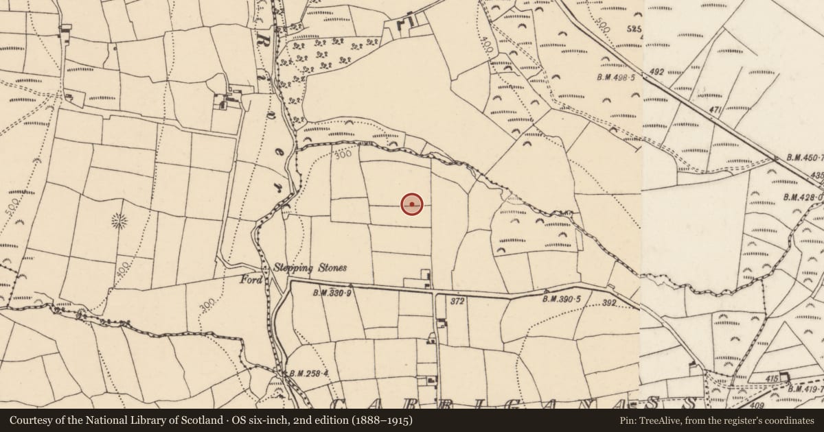 Ordnance Survey six-inch map, 2nd edition (1888–1915) covering the location of Ringfort - rath, Carriganass, County Cork, with a pin at the register's coordinates