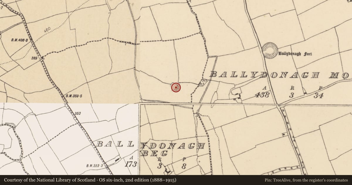 Ordnance Survey six-inch map, 2nd edition (1888–1915) covering the location of Enclosure, Ballydonagh Beg, County Cork, with a pin at the register's coordinates