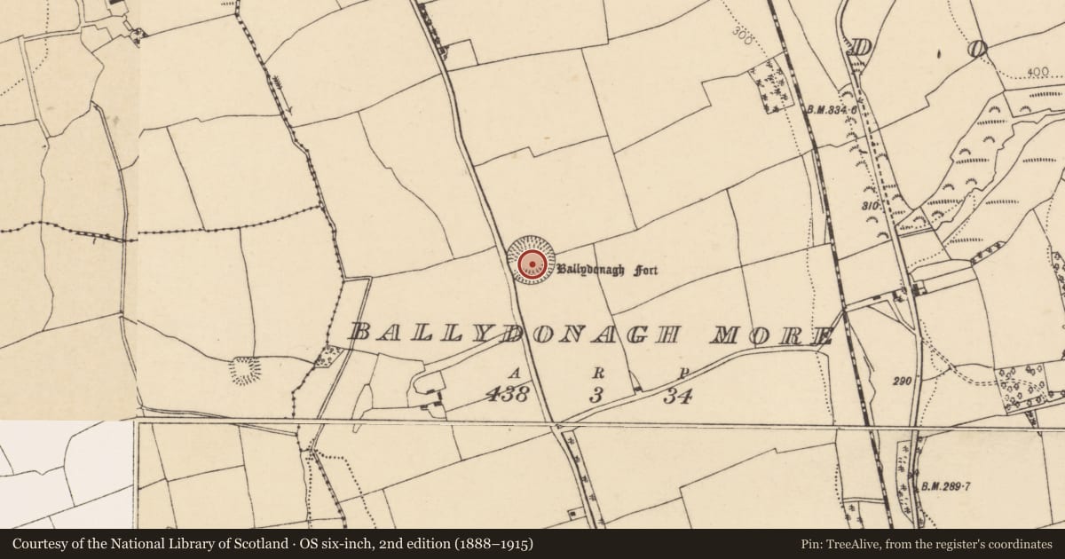 Ordnance Survey six-inch map, 2nd edition (1888–1915) covering the location of Ringfort - rath, Ballydonagh More, County Cork, with a pin at the register's coordinates