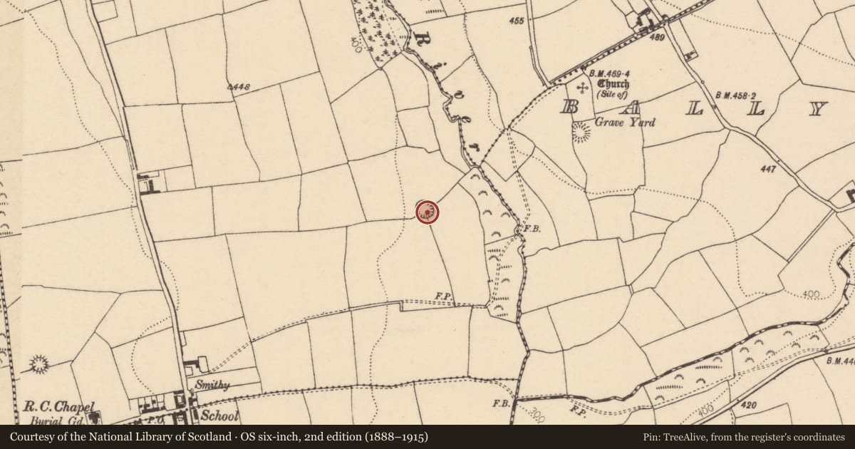 Ordnance Survey six-inch map, 2nd edition (1888–1915) covering the location of Ringfort - rath, Clonmult, County Cork, with a pin at the register's coordinates