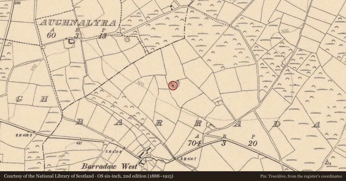 Ordnance Survey six-inch map, 2nd edition (1888–1915) covering the location of Ringfort - rath, Barradaw, County Cork, with a pin at the register's coordinates
