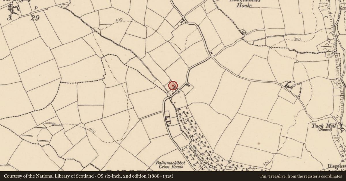 Ordnance Survey six-inch map, 2nd edition (1888–1915) covering the location of House - vernacular house, Ballinteosig, County Cork, with a pin at the register's coordinates