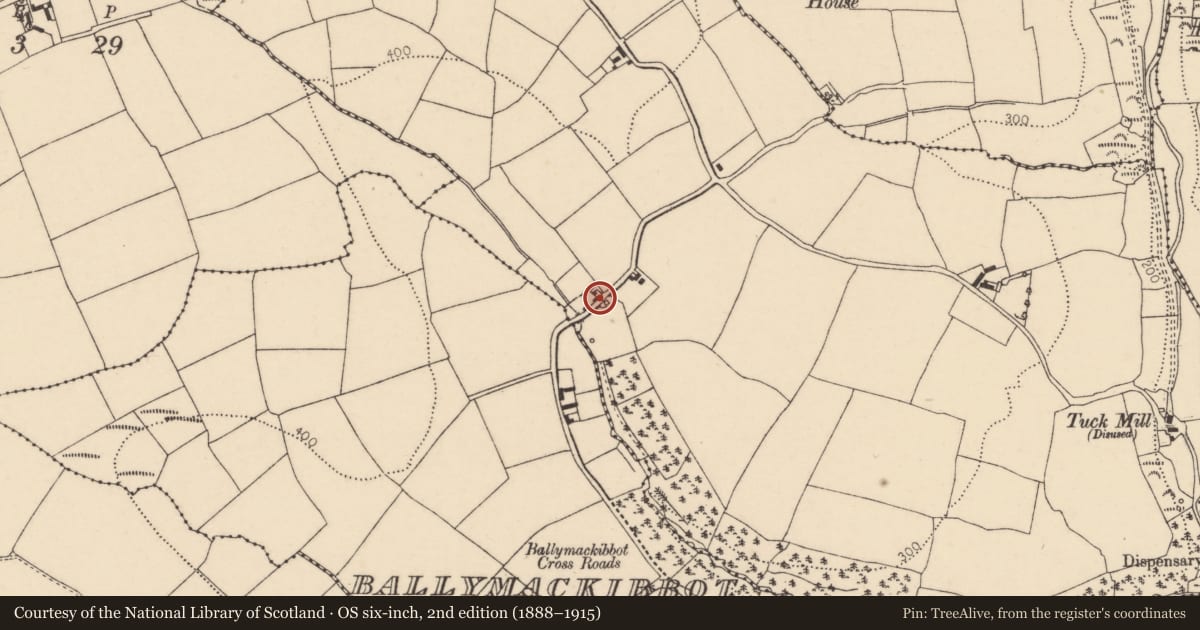 Ordnance Survey six-inch map, 2nd edition (1888–1915) covering the location of Kiln - lime, Ballinteosig, County Cork, with a pin at the register's coordinates