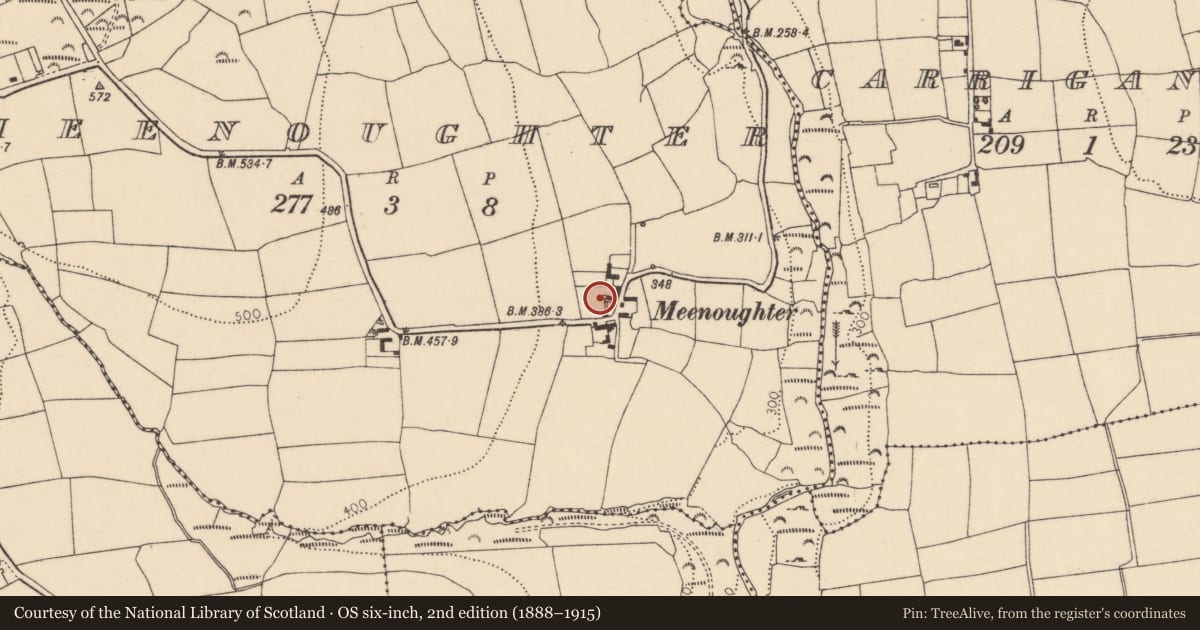 Ordnance Survey six-inch map, 2nd edition (1888–1915) covering the location of Settlement cluster, Meenoughter, County Cork, with a pin at the register's coordinates