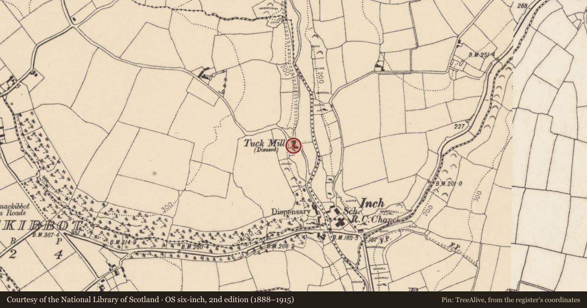 Ordnance Survey six-inch map, 2nd edition (1888–1915) covering the location of Mill - fulling, Ballinteosig, County Cork, with a pin at the register's coordinates