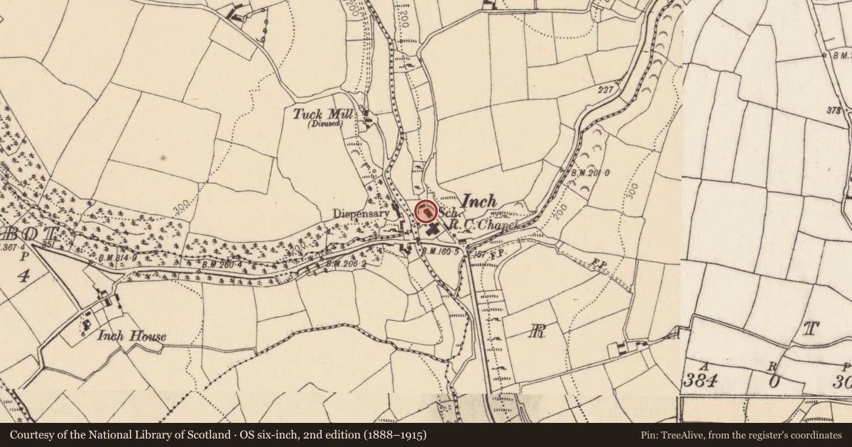 Ordnance Survey six-inch map, 2nd edition (1888–1915) covering the location of School, Barnaviddane, County Cork, with a pin at the register's coordinates