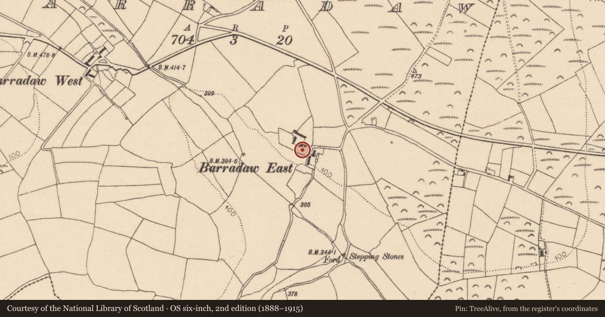 Ordnance Survey six-inch map, 2nd edition (1888–1915) covering the location of Settlement cluster, Barradaw, County Cork, with a pin at the register's coordinates