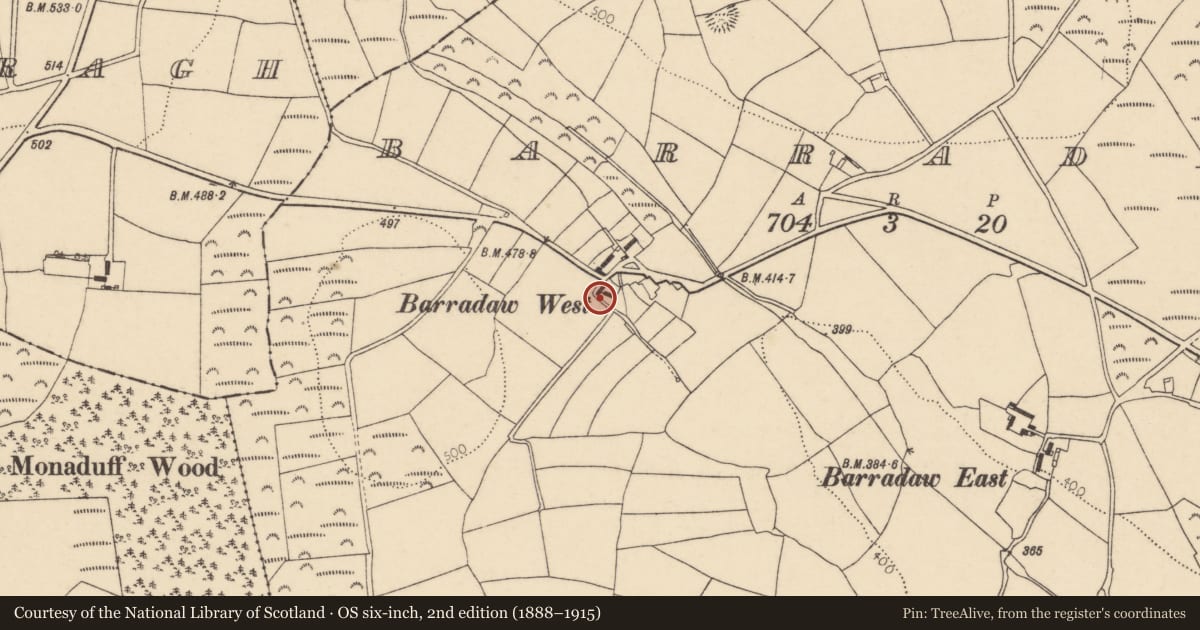 Ordnance Survey six-inch map, 2nd edition (1888–1915) covering the location of Settlement cluster, Barradaw, County Cork, with a pin at the register's coordinates