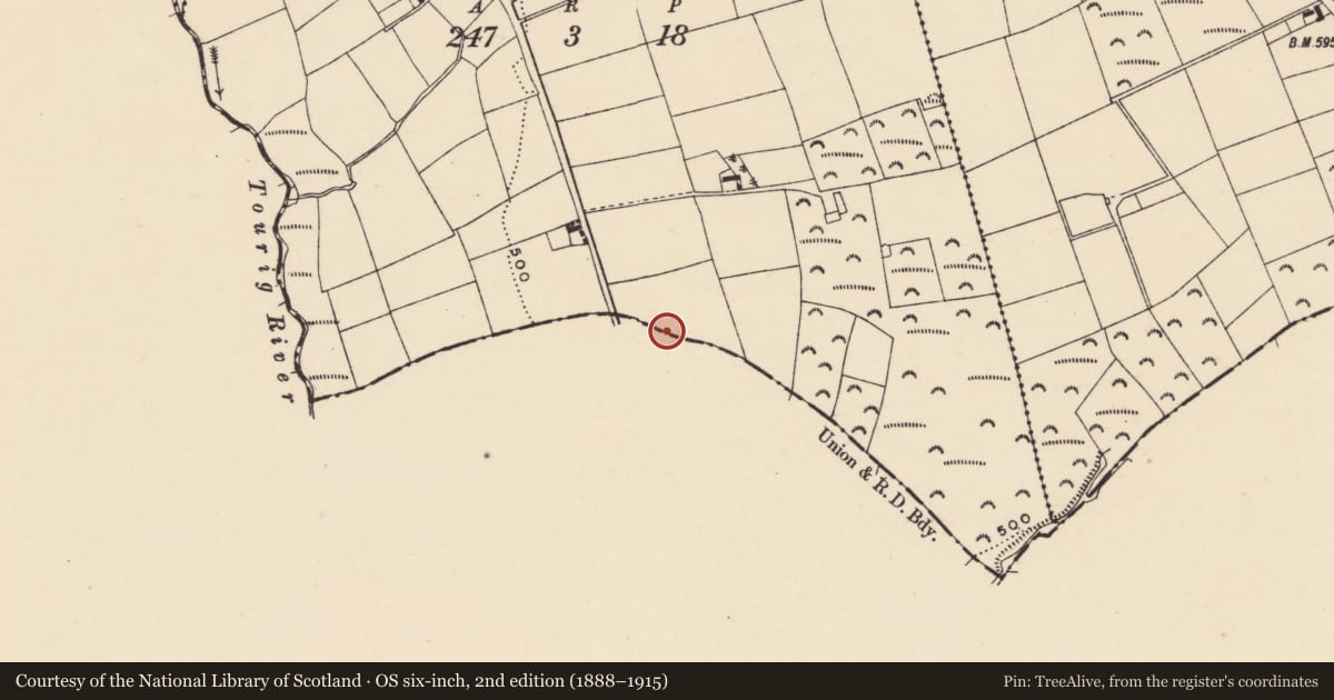 Ordnance Survey six-inch map, 2nd edition (1888–1915) covering the location of Linear earthwork, Breeda, County Cork, with a pin at the register's coordinates