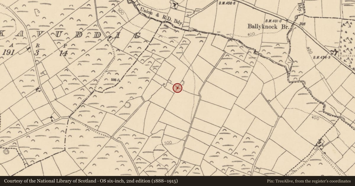 Ordnance Survey six-inch map, 2nd edition (1888–1915) covering the location of Fulacht fia, Barradaw, County Cork, with a pin at the register's coordinates