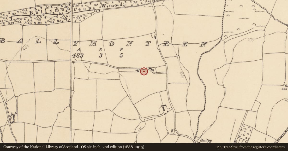 Ordnance Survey six-inch map, 2nd edition (1888–1915) covering the location of Ringfort - rath, Ballymonteen, County Cork, with a pin at the register's coordinates