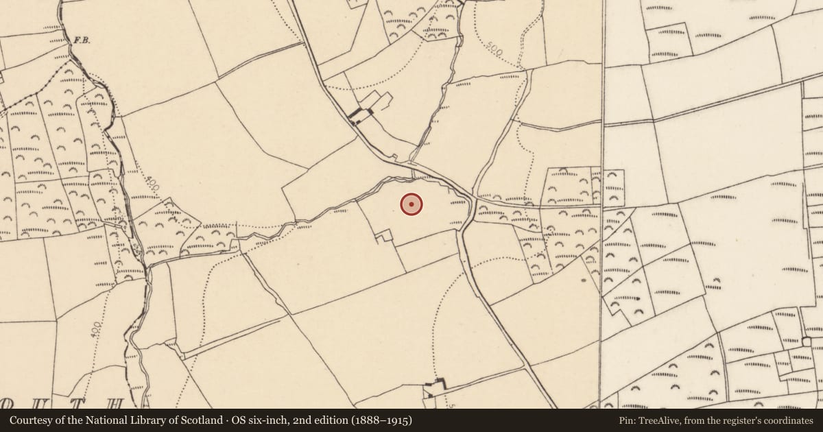 Ordnance Survey six-inch map, 2nd edition (1888–1915) covering the location of Standing stone, Breeda, County Cork, with a pin at the register's coordinates