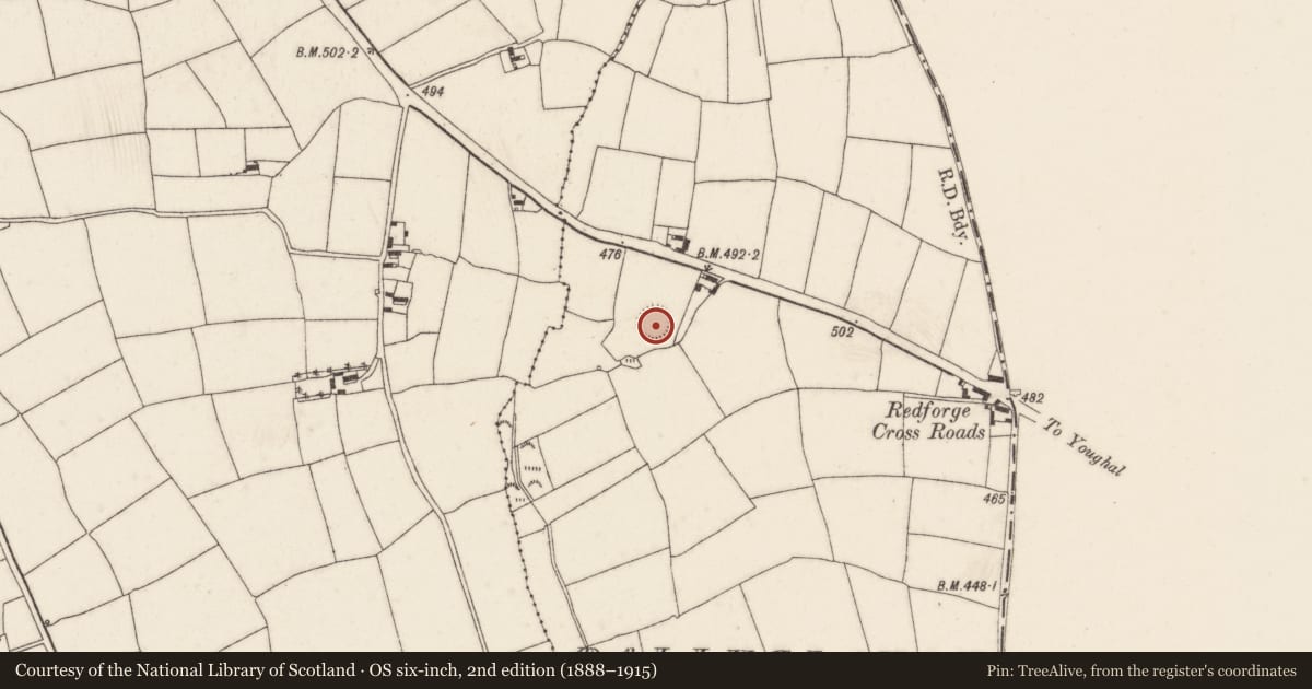 Ordnance Survey six-inch map, 2nd edition (1888–1915) covering the location of Ringfort - rath, Ballyglavin, County Cork, with a pin at the register's coordinates
