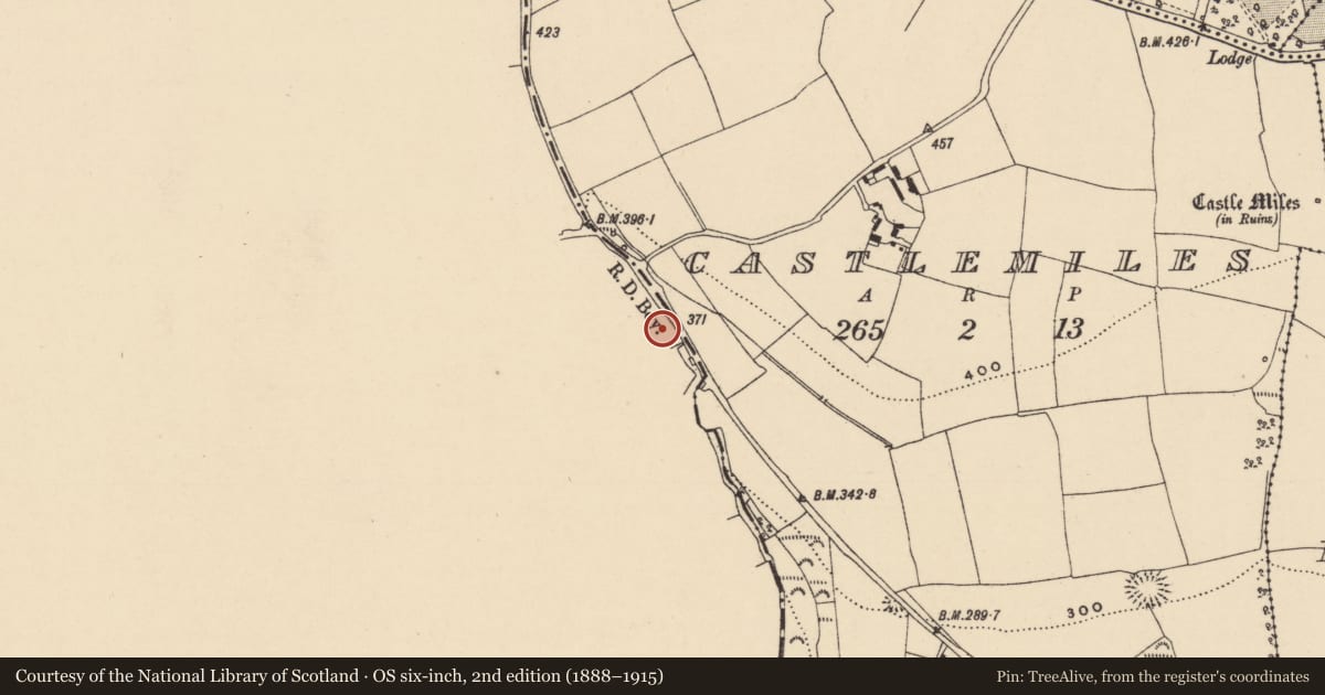 Ordnance Survey six-inch map, 2nd edition (1888–1915) covering the location of Fulacht fia, Cornaveigh (Imokilly By., Ardagh Par.), County Cork, with a pin at the register's coordinates