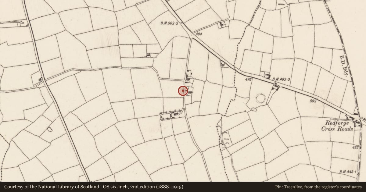 Ordnance Survey six-inch map, 2nd edition (1888–1915) covering the location of Kiln - lime, Ballydaniel (Imokilly By., Ardagh Par.), County Cork, with a pin at the register's coordinates