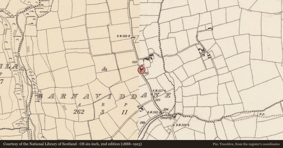 Ordnance Survey six-inch map, 2nd edition (1888–1915) covering the location of House - vernacular house, Barnaviddane, County Cork, with a pin at the register's coordinates