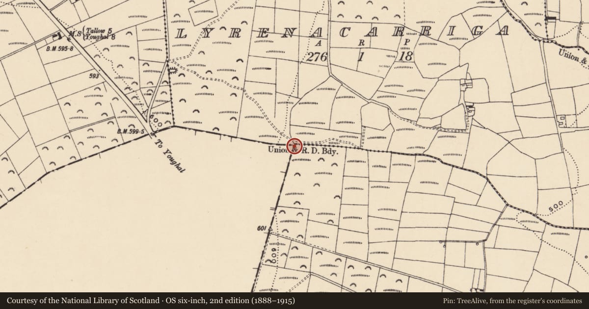 Ordnance Survey six-inch map, 2nd edition (1888–1915) covering the location of Boundary stone, Breeda, County Cork, with a pin at the register's coordinates