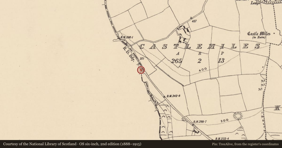 Ordnance Survey six-inch map, 2nd edition (1888–1915) covering the location of Ritual site - holy well, Cornaveigh (Imokilly By., Ardagh Par.), County Cork, with a pin at the register's coordinates