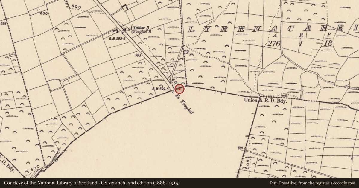 Ordnance Survey six-inch map, 2nd edition (1888–1915) covering the location of Linear earthwork, Breeda, County Cork, with a pin at the register's coordinates