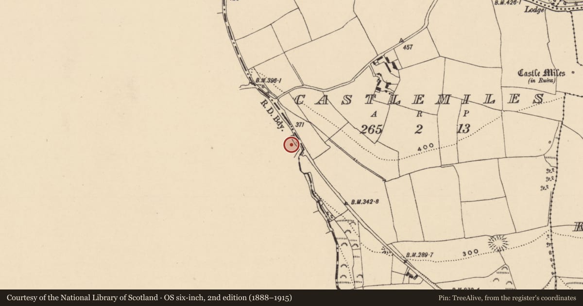 Ordnance Survey six-inch map, 2nd edition (1888–1915) covering the location of Fulacht fia, Cornaveigh (Imokilly By., Ardagh Par.), County Cork, with a pin at the register's coordinates