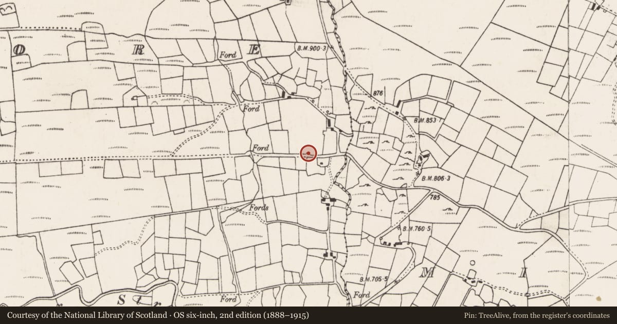 Ordnance Survey six-inch map, 2nd edition (1888–1915) covering the location of Kiln - lime, An Inse Mhór (TC Sliabh Riabhach), County Cork, with a pin at the register's coordinates