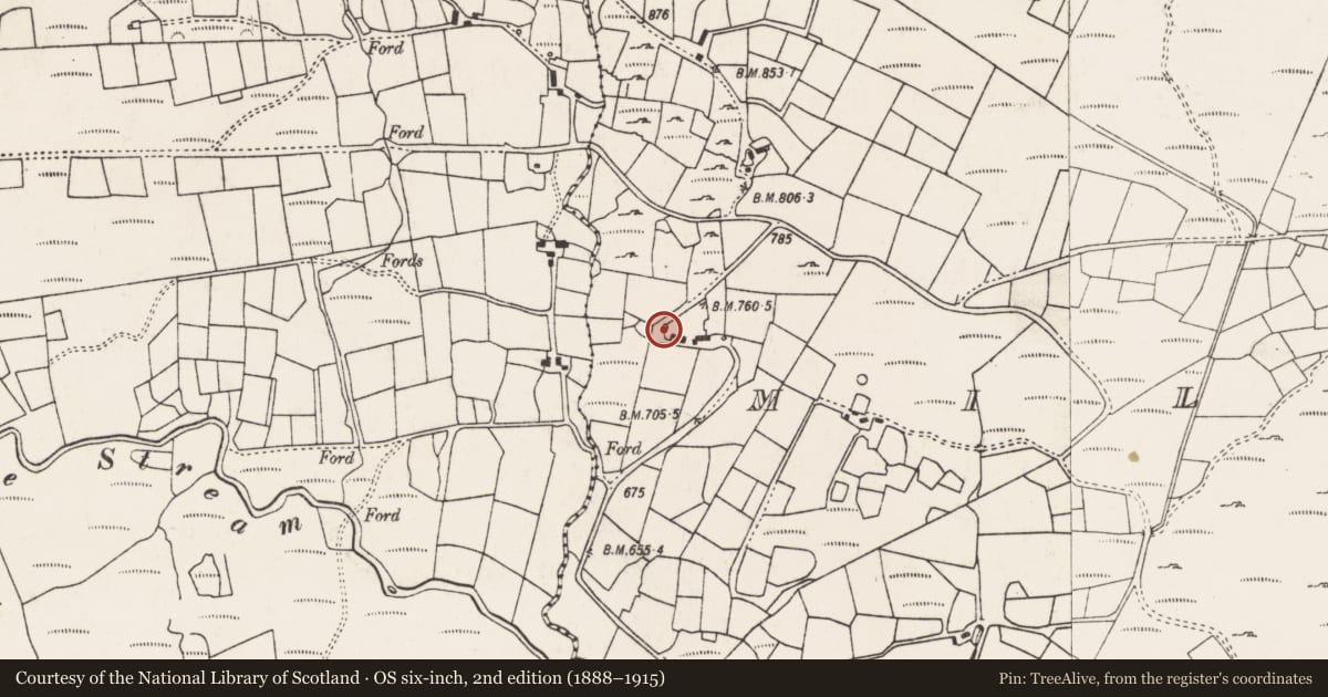 Ordnance Survey six-inch map, 2nd edition (1888–1915) covering the location of Kiln - lime, Na Millíní, County Cork, with a pin at the register's coordinates
