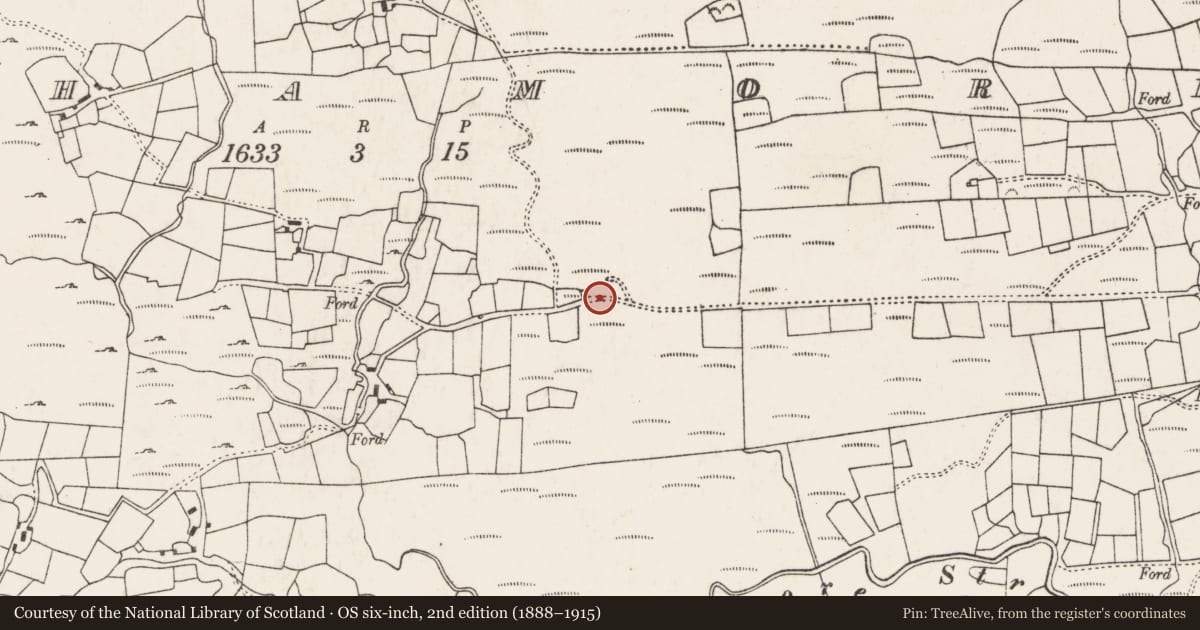 Ordnance Survey six-inch map, 2nd edition (1888–1915) covering the location of Kiln - lime, An Inse Mhór (TC Sliabh Riabhach), County Cork, with a pin at the register's coordinates