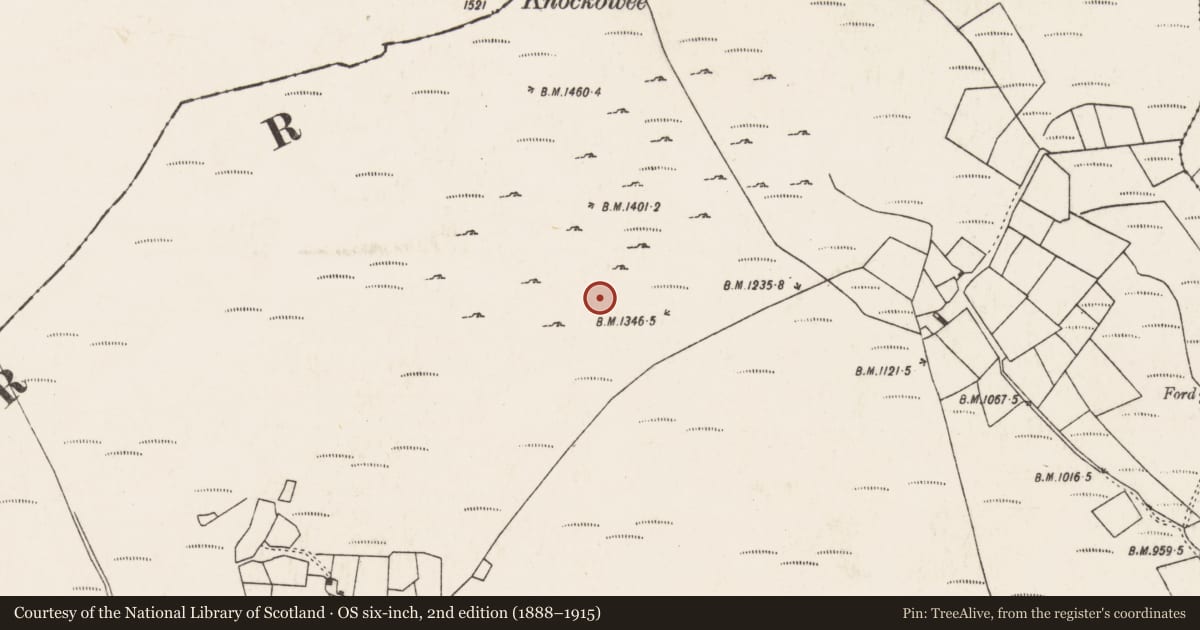 Ordnance Survey six-inch map, 2nd edition (1888–1915) covering the location of Field boundary, An Inse Mhór (TC Sliabh Riabhach), County Cork, with a pin at the register's coordinates