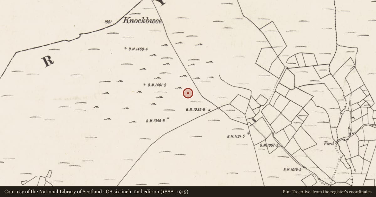 Ordnance Survey six-inch map, 2nd edition (1888–1915) covering the location of Enclosure, An Inse Mhór (TC Sliabh Riabhach), County Cork, with a pin at the register's coordinates