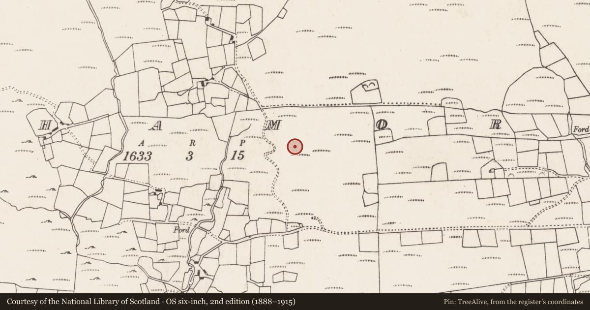 Ordnance Survey six-inch map, 2nd edition (1888–1915) covering the location of Hut site, An Inse Mhór (TC Sliabh Riabhach), County Cork, with a pin at the register's coordinates