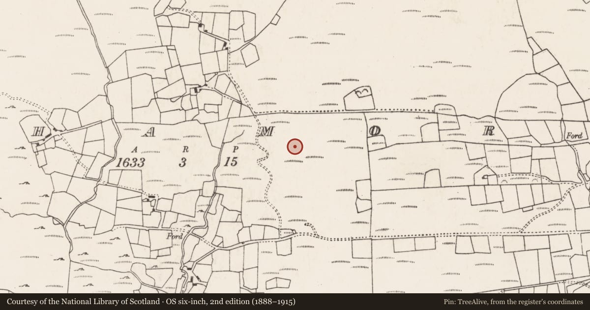 Ordnance Survey six-inch map, 2nd edition (1888–1915) covering the location of Hut site, An Inse Mhór (TC Sliabh Riabhach), County Cork, with a pin at the register's coordinates